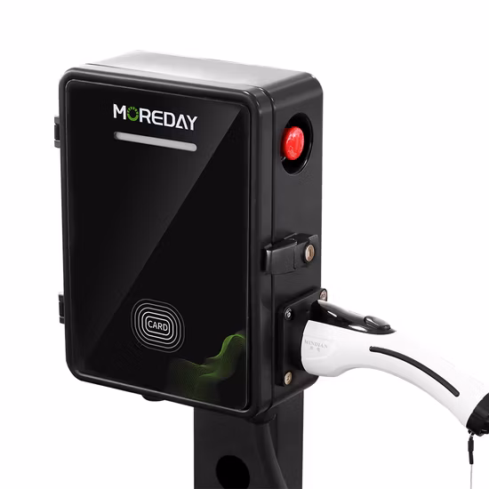 Caricatore per auto elettrica da interno/esterno, NEMA 14